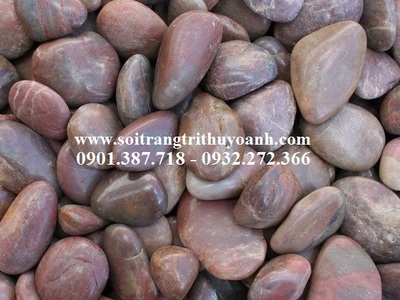 Sỏi bóng Thùy Oanh 9