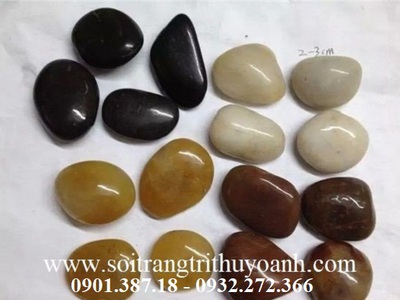 Sỏi bóng Thùy Oanh 0