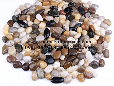 Sỏi bóng Thùy Oanh 1