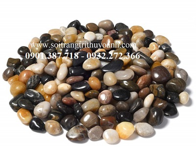 Sỏi bóng Thùy Oanh 2