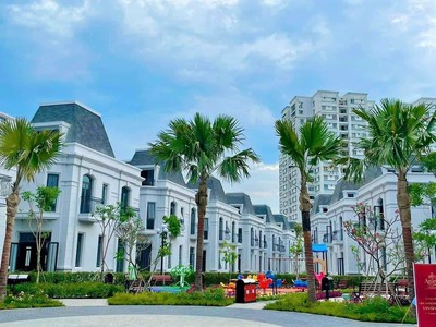 Siêu phẩm nhà phố phú mỹ hưng - amelie villas kiến trúc pháp - nở hậu đẹp, giá cực tốt 1