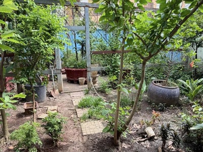 Bán đất - hẻm nhựa 10m lũy bán bích, gần âu cơ - bàu cát, 10x15m, full thổ, sổ a4, 15,2 tỷ 1