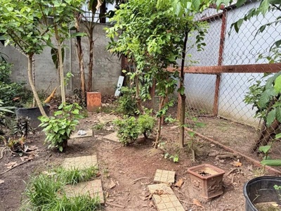 Bán đất - hẻm nhựa 10m lũy bán bích, gần âu cơ - bàu cát, 10x15m, full thổ, sổ a4, 15,2 tỷ 4