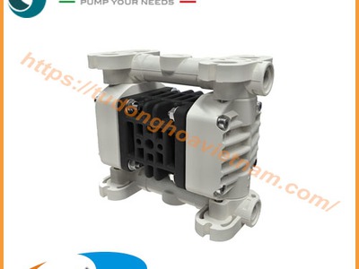 Bơm màng DEBEM   DEBEM diaphragm pumps 0