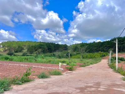 Bán Đất Ven Đà Lạt 542m Thổ Cư 200m Giữa Đồi Thông Xanh, Sẵn Sàng Xây Nhà Vườn Nghỉ Dưỡng 4