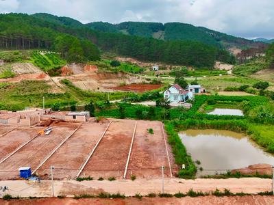 Bán Đất Ven Đà Lạt 542m Thổ Cư 200m Giữa Đồi Thông Xanh, Sẵn Sàng Xây Nhà Vườn Nghỉ Dưỡng 0