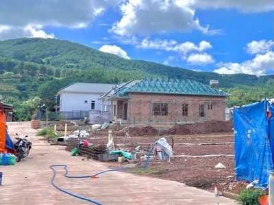 Bán Đất Ven Đà Lạt 542m Thổ Cư 200m Giữa Đồi Thông Xanh, Sẵn Sàng Xây Nhà Vườn Nghỉ Dưỡng 2