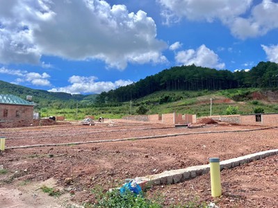 Bán Đất Ven Đà Lạt 542m Thổ Cư 200m Giữa Đồi Thông Xanh, Sẵn Sàng Xây Nhà Vườn Nghỉ Dưỡng 1