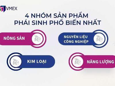 Đặc điểm và tầm quan trọng của đa dạng hóa danh mục đầu t 0