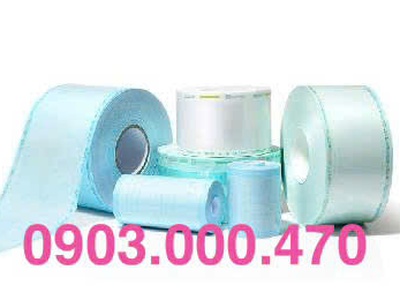 Túi ép tiệt trùng Tyvek Plasma 0