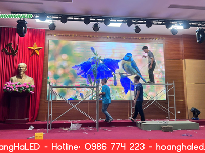 Lắp Đặt Màn Hình LED P3 3840Hz Tại Đại Học Lao Động   Xã Hội 2