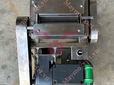 Máy cán thịt - dần thịt tươi chạy điện TBT200 giá rẻ 1