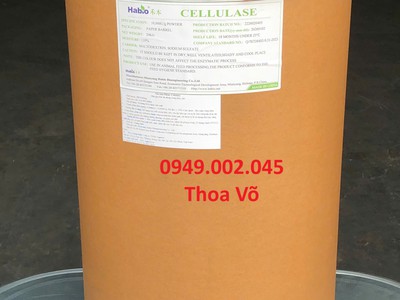 Enzyme cellulase   Chuyên cắt tảo, phân hủy xơ, hỗ trợ tiêu hóa hiệu quả 0