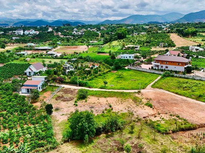 Bán Đất Ven Đà Lạt 558m Thổ Cư 209m Đất Nở Hậu, View Đồi Núi, Lý Tưởng Xây Nhà Vườn Nghỉ Dưỡng 0
