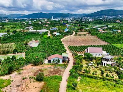Bán Đất Ven Đà Lạt 558m Thổ Cư 209m Đất Nở Hậu, View Đồi Núi, Lý Tưởng Xây Nhà Vườn Nghỉ Dưỡng 3
