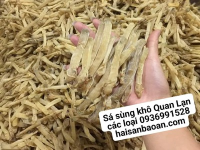 Cần bán sá sùng khô ngon tuyển chọn 0