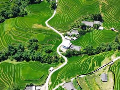 Mảnh Đất 1.235m  Tại Bản Tả Van   View Ruộng Bậc Thang Đẹp Mê Hoặc 0