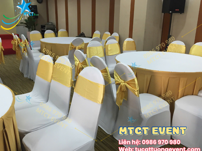 Cho Thuê Ghế Banquet Trắng Tphcm 3