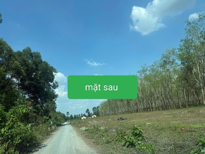 Siêu phẩm  46x110  2mt củ chi   4.500m , thổ cư 2.600m , chỉ 8 triệu/m 1