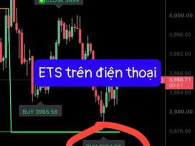 Hỗ trợ trader 2