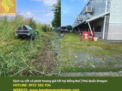 Dịch Vụ Cắt Cỏ Phát Hoang dự án, nhà máy Biên Hòa, Đồng Nai 0