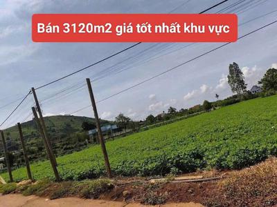 Bán 3120m2 đất xã tân hội đức trọng lâm đồng 4 tỷ 0