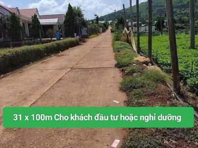 Bán 3120m2 đất xã tân hội đức trọng lâm đồng 4 tỷ 3