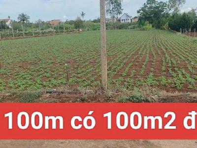 Bán 3120m2 đất xã tân hội đức trọng lâm đồng 4 tỷ 4