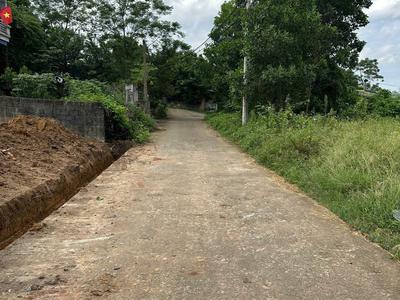 Chính chủ bán đất tam dương   tỉnh phú thọ 3