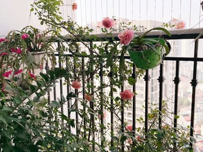 Cho thuê chung cư Garden Hill - 99 Trần Bình, 70m 2PN đủ đồ, 13,5 triệu/tháng 8