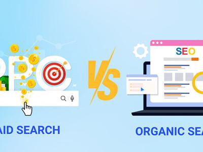 Organic Search Là Gì Hướng Dẫn Tối Ưu Cho Người Mới Bắt Đầu 0