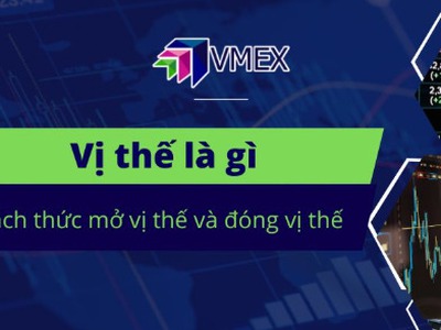 Vị thế là gì 0