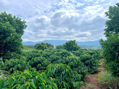 Cần Bán Đất Ven Đà Lạt 308m Có 268m Thổ Cư View Núi Đẹp Mặt Tiền 10m 0