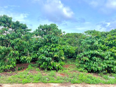 Cần Bán Đất Ven Đà Lạt 308m Có 268m Thổ Cư View Núi Đẹp Mặt Tiền 10m 2