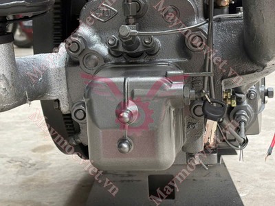 Động cơ dầu Jiangdong D42 đề điện làm mát bằng nước 3