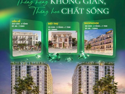 Ceohomes hana garden mê linh 3