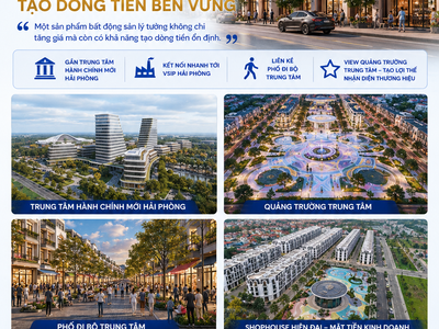 Dự Án Nhà Phố Vlasta Thủy Nguyên - Gần VSIP Hải Phòng - Kinh Doanh Đỉnh Cao 0