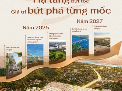 Dự Án Nhà Phố Vlasta Thủy Nguyên - Gần VSIP Hải Phòng - Kinh Doanh Đỉnh Cao 1