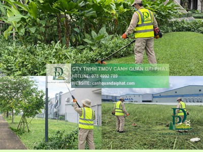 Công ty cây xanh An Phước Đồng Nai 0