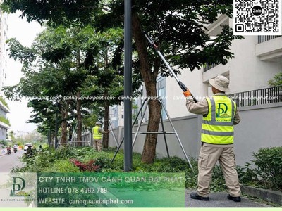 Công ty cây xanh An Phước Đồng Nai 1