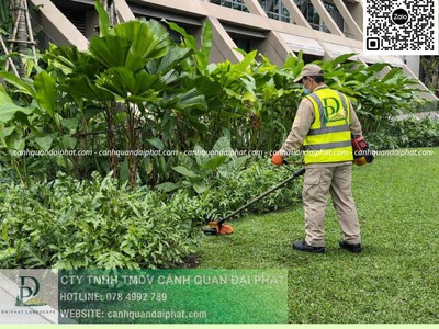 Công ty cây xanh An Phước Đồng Nai 3