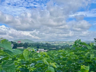Cần Bán Đất Ven Đà Lạt 3.677m Có 200m Thổ Cư View Đẹp, Phù Hợp Nhà Vườn Nghỉ Dưỡng 2