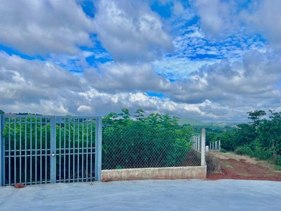 Cần Bán Đất Ven Đà Lạt 3.677m Có 200m Thổ Cư View Đẹp, Phù Hợp Nhà Vườn Nghỉ Dưỡng 0