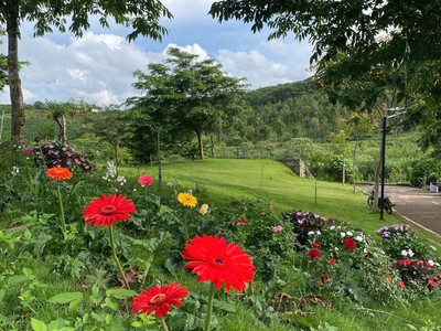 Bán Đất Nghĩ Dưỡng View Hồ Bảo Lộc 3