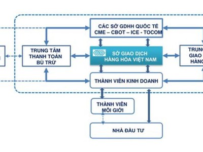 Hành lang pháp lý, nghị định của sở giao dịch hàng hóa việt nam