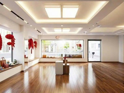 Cho thuê nhà mặt tiền đường Hoa Hồng, Phường Cầu Kiệu, Hồ Chí Minh. DT: 250m2 4