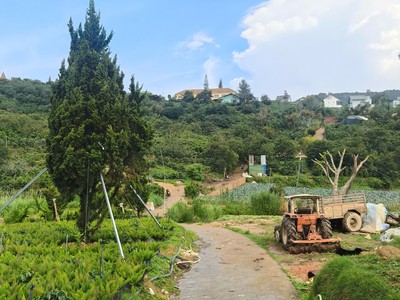 Bán đất đẹp phường xuân trường đà lạt 3