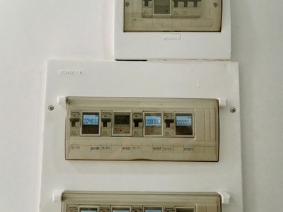 Gà đẻ trứng vàng mặt tiền gò vấp: lượm đều tay 280 triệu/tháng đối diện chợ hạnh thông tây 0