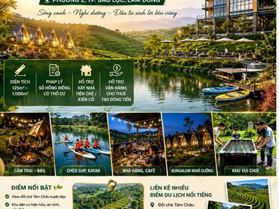 Cần bán đất nghĩ dưỡng Làng Omm Bảo Lộc sổ sẵn chỉ 500 triệu 1