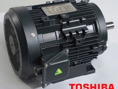 Động cơ điện Toshiba 0